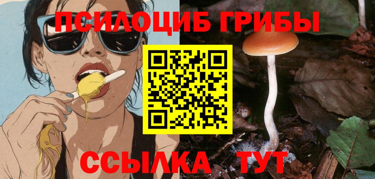 Галлюциногенные грибы Psilocybine cubensis Ишим