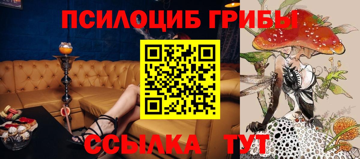 Ишим  закладка  Вход с VPN  Галлюциногенные грибы Cubensis 